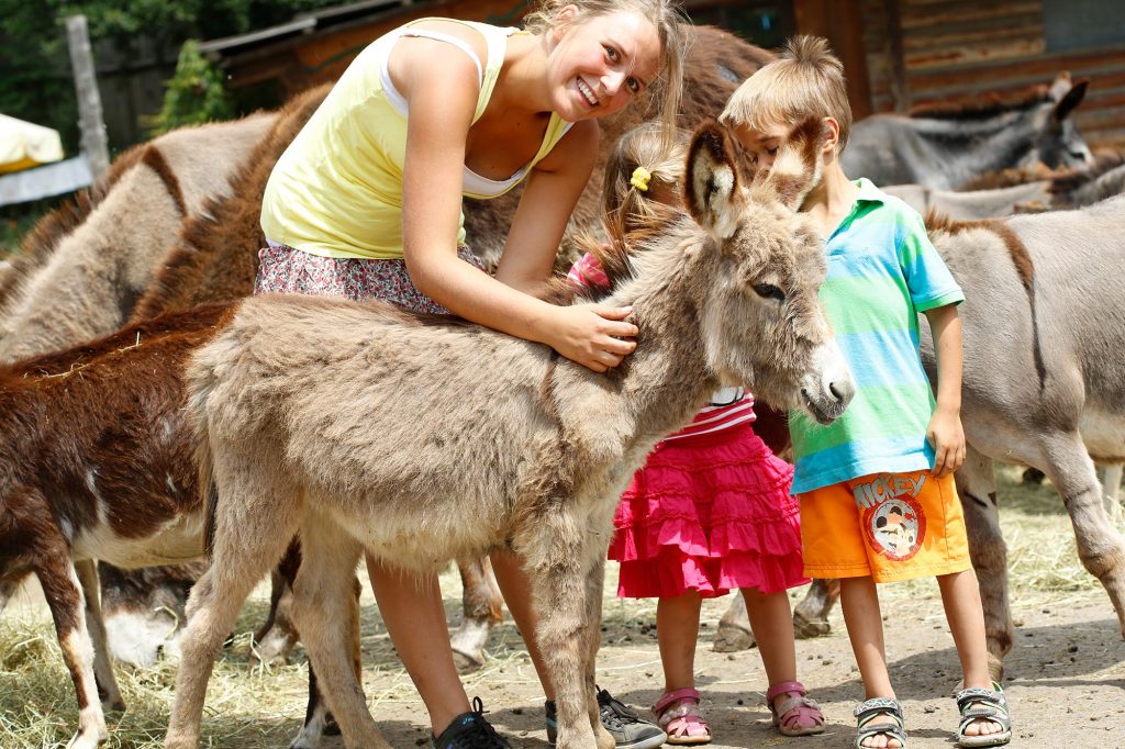 Ein junges Mädchen streichelt neben zwei kleinen Kindern einen Zwergesel im Eselpark Maltatal